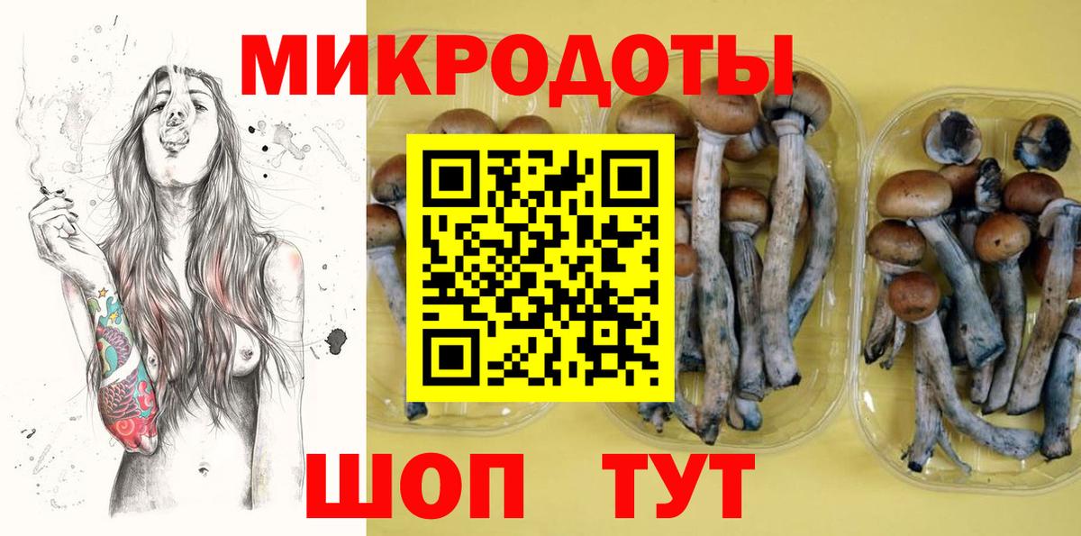 Галлюциногенные грибы Cubensis Борзя